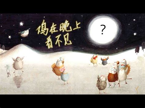 雞晚上看不到|鸡在黑夜里能看清东西吗？